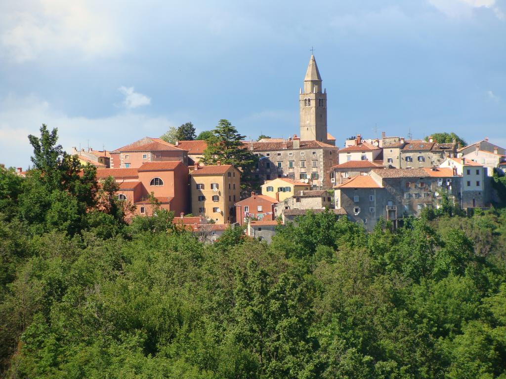 Guesthouse Boris Labin  Dış mekan fotoğraf